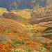 20061021_tanigawatrip_0491
